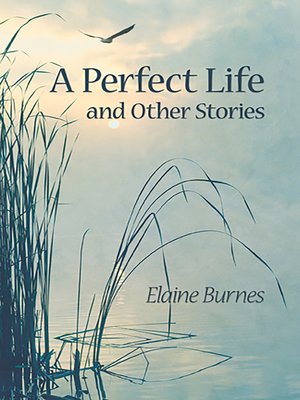 cover image of A Perfect Life nd Other Stories